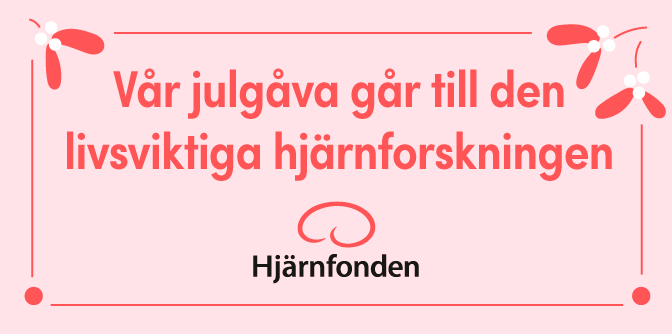 Julgåva 2019 till Hjärnfonden